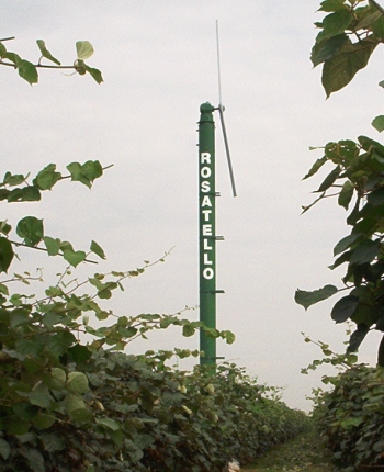 Ventilatore antigelo Rosatello